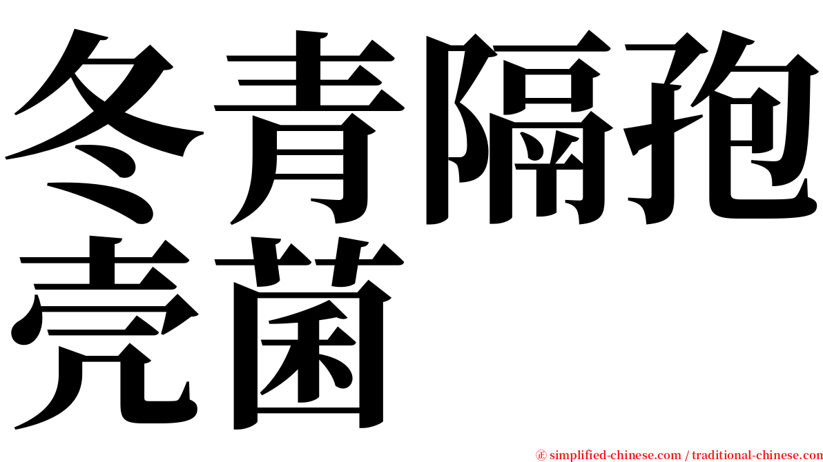 冬青隔孢壳菌 serif font