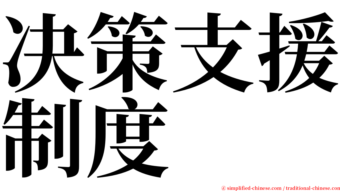 决策支援制度 serif font