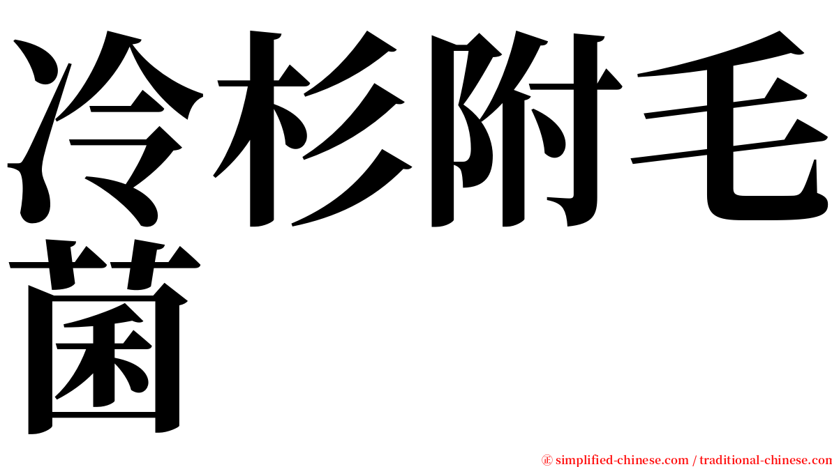 冷杉附毛菌 serif font