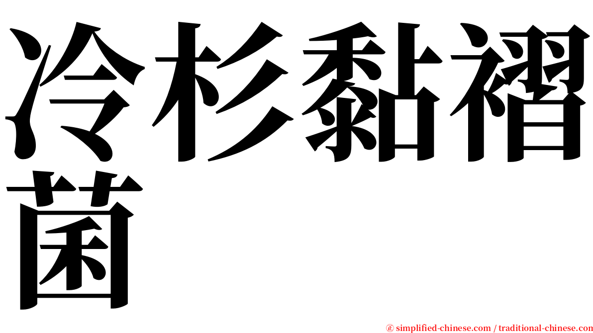 冷杉黏褶菌 serif font