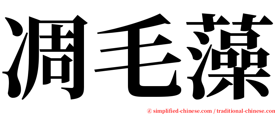 凋毛藻 serif font