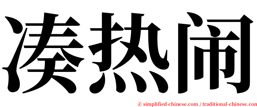 凑热闹 serif font