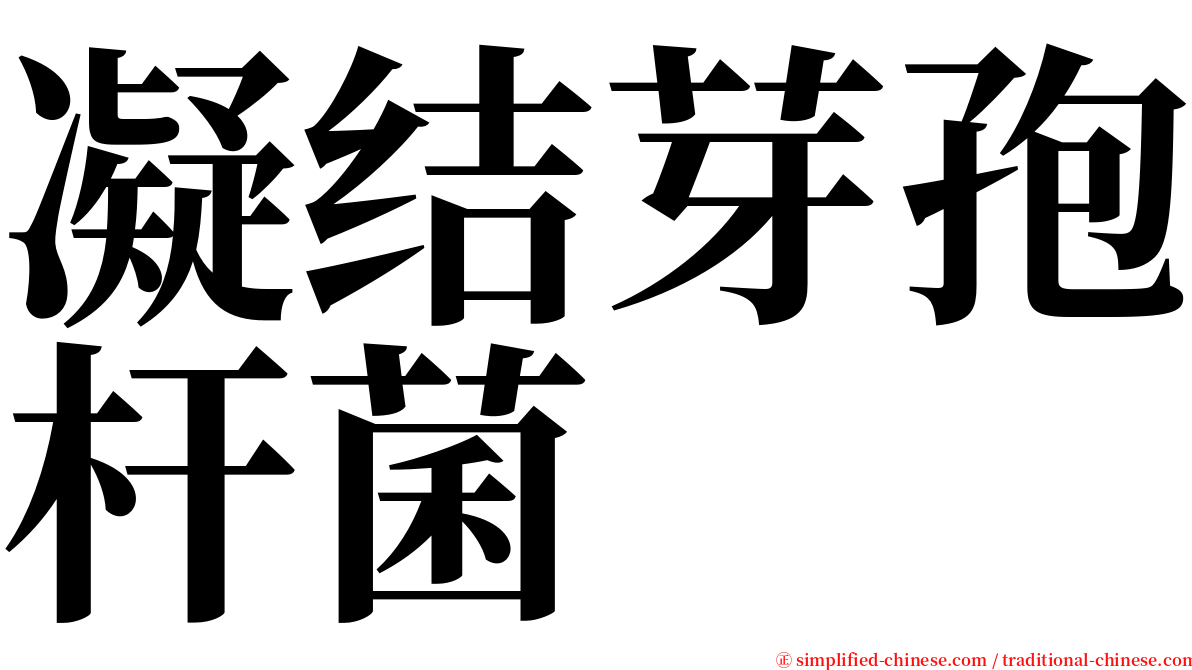 凝结芽孢杆菌 serif font