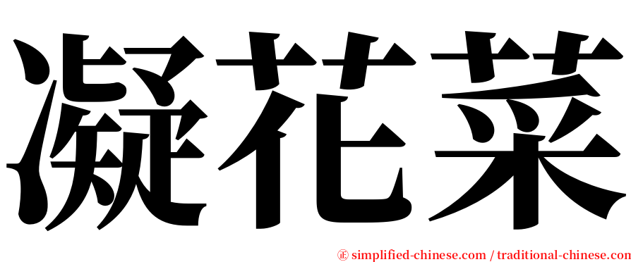 凝花菜 serif font