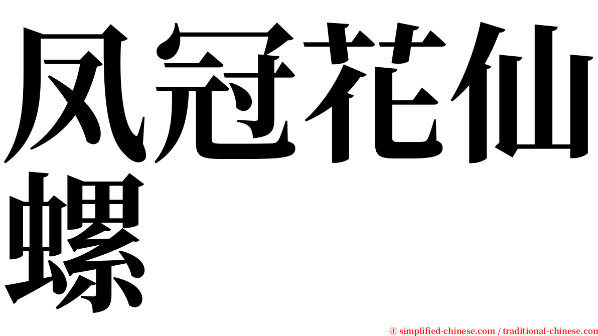 凤冠花仙螺 serif font