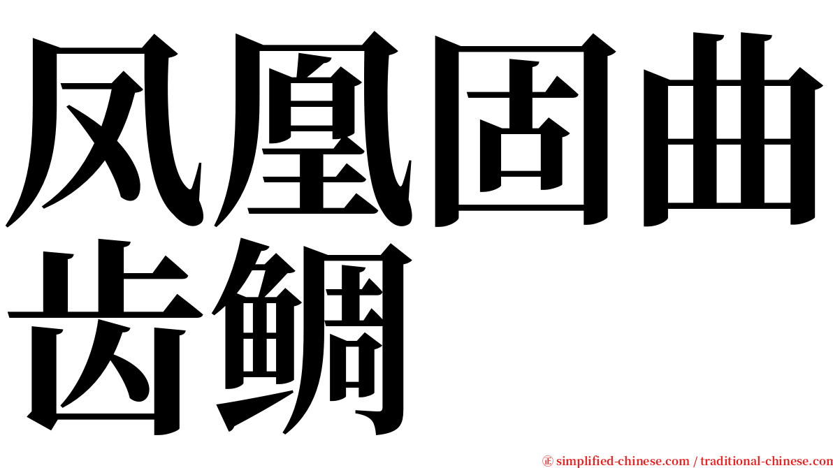 凤凰固曲齿鲷 serif font