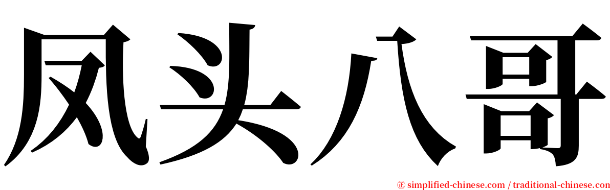 凤头八哥 serif font