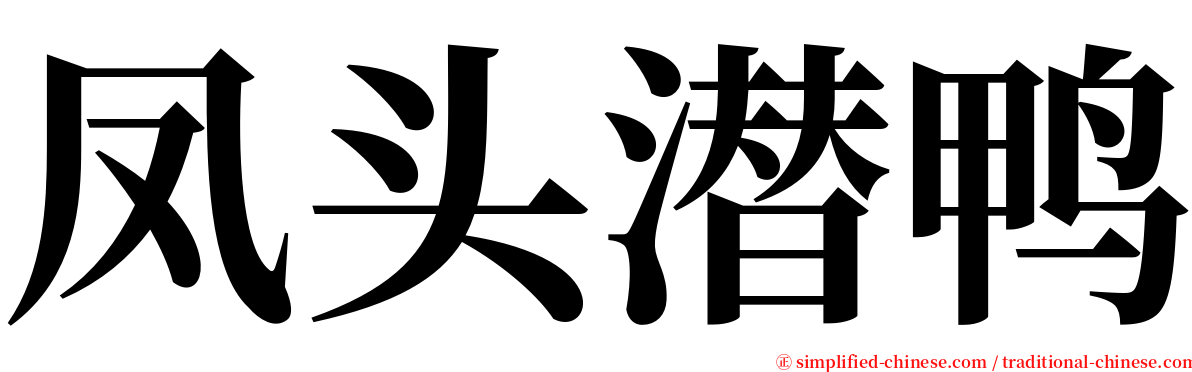 凤头潜鸭 serif font