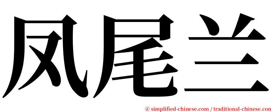 凤尾兰 serif font