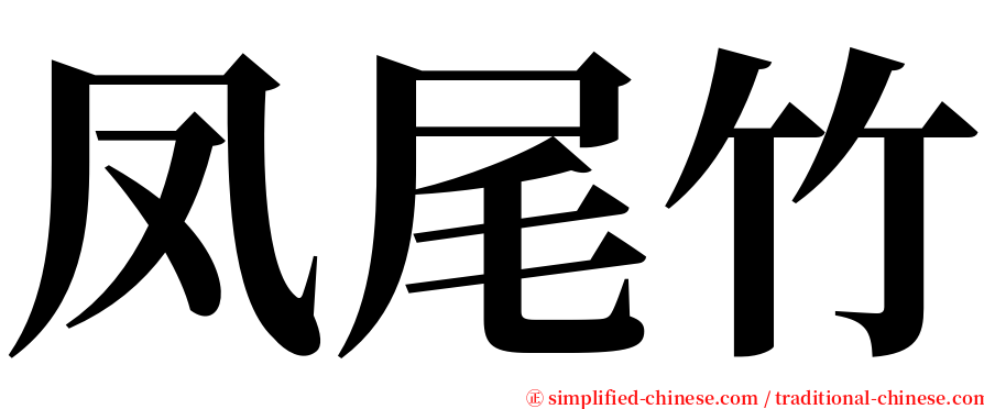 凤尾竹 serif font