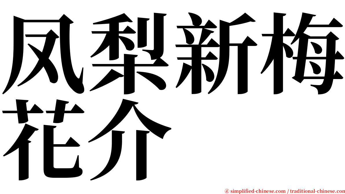 凤梨新梅花介 serif font