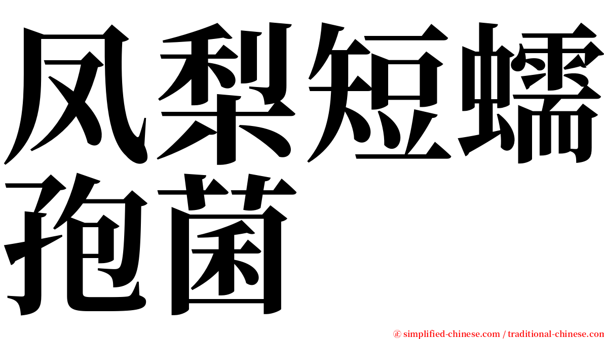 凤梨短蠕孢菌 serif font