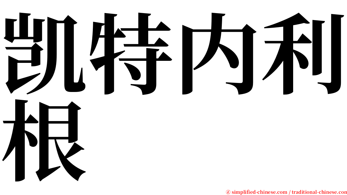 凯特内利根 serif font