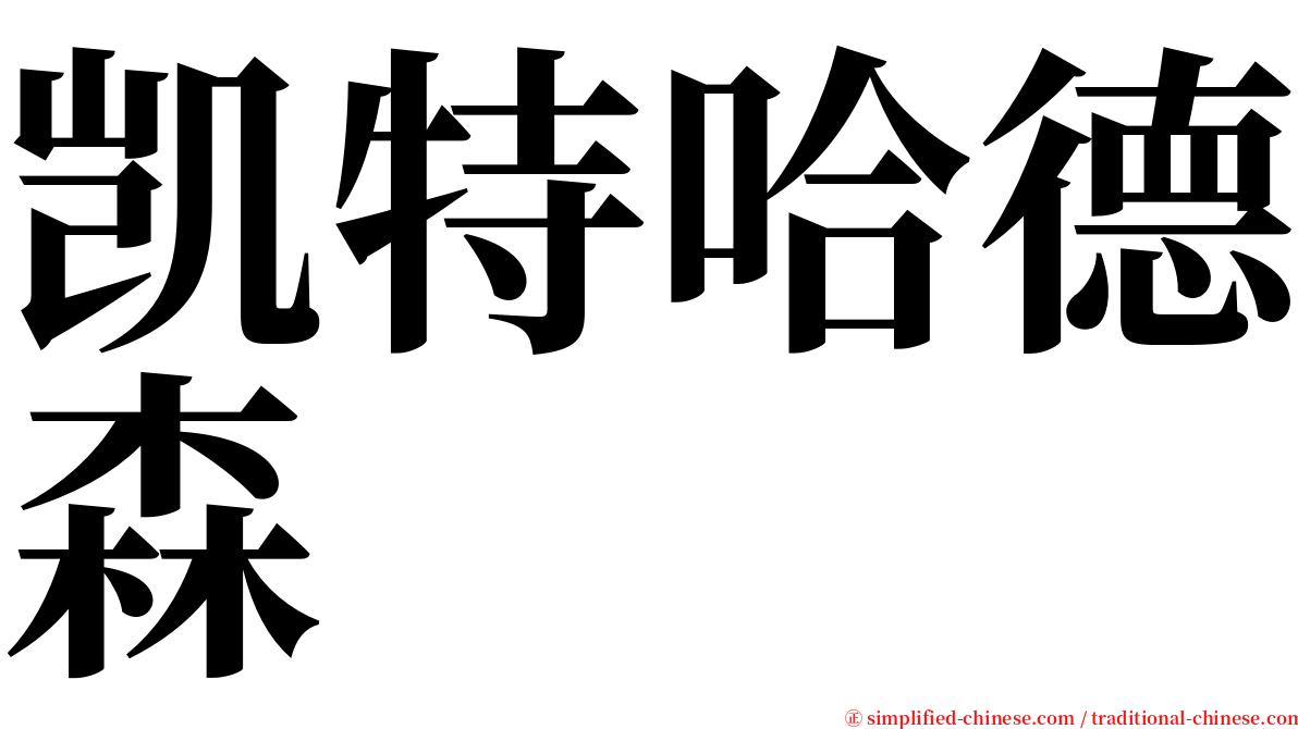 凯特哈德森 serif font