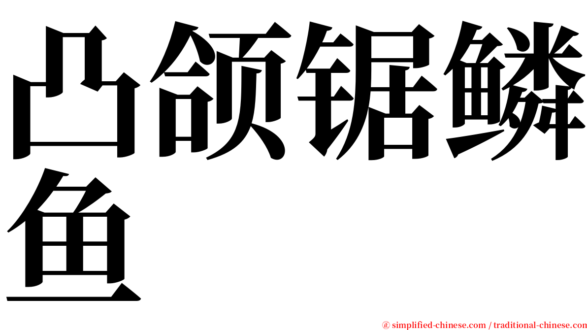 凸颌锯鳞鱼 serif font