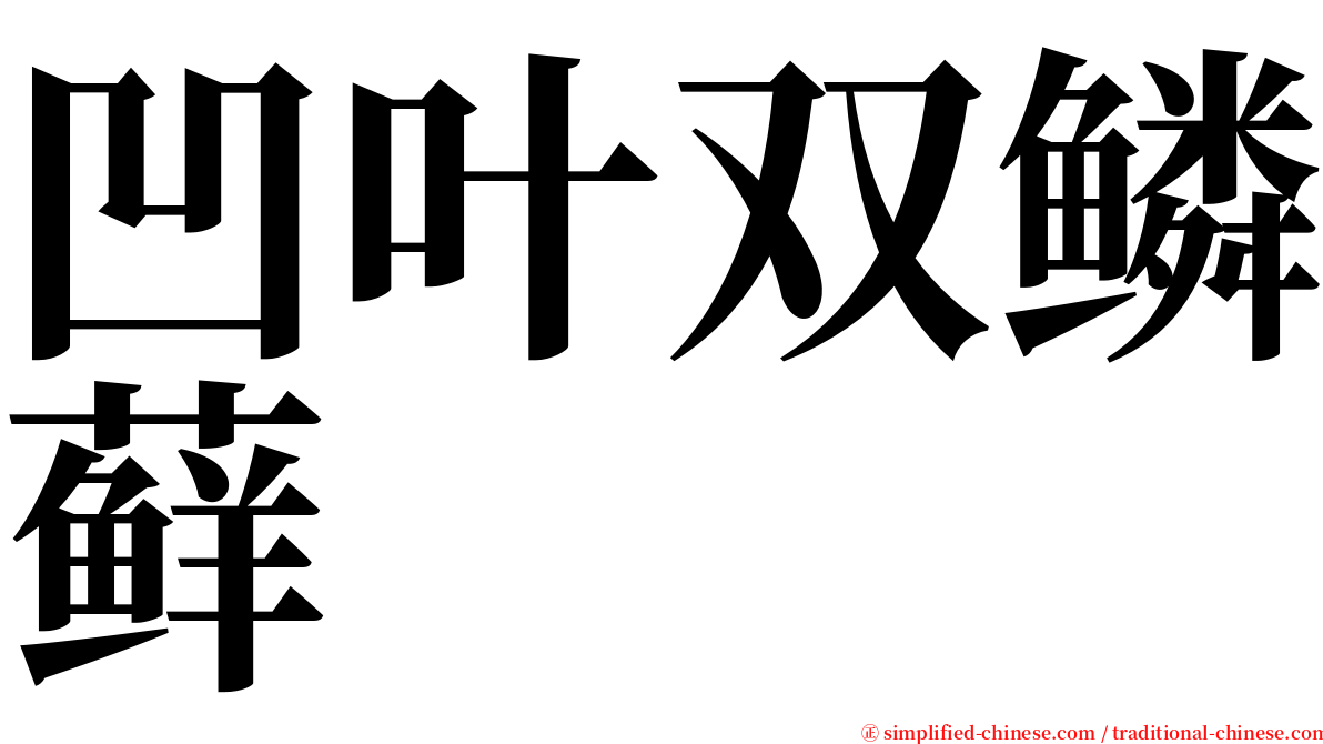 凹叶双鳞藓 serif font