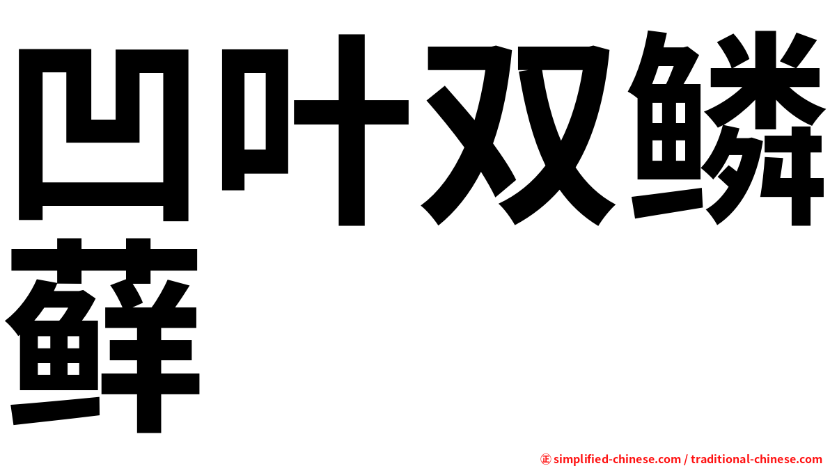 凹叶双鳞藓