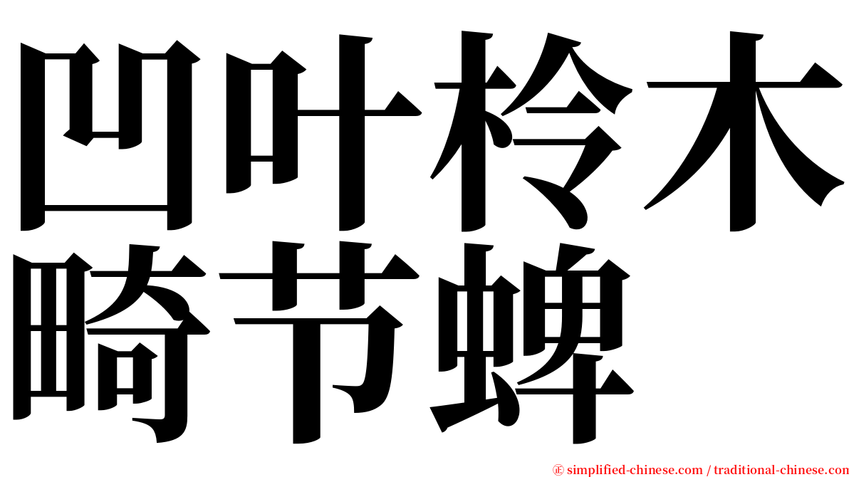 凹叶柃木畸节蜱 serif font