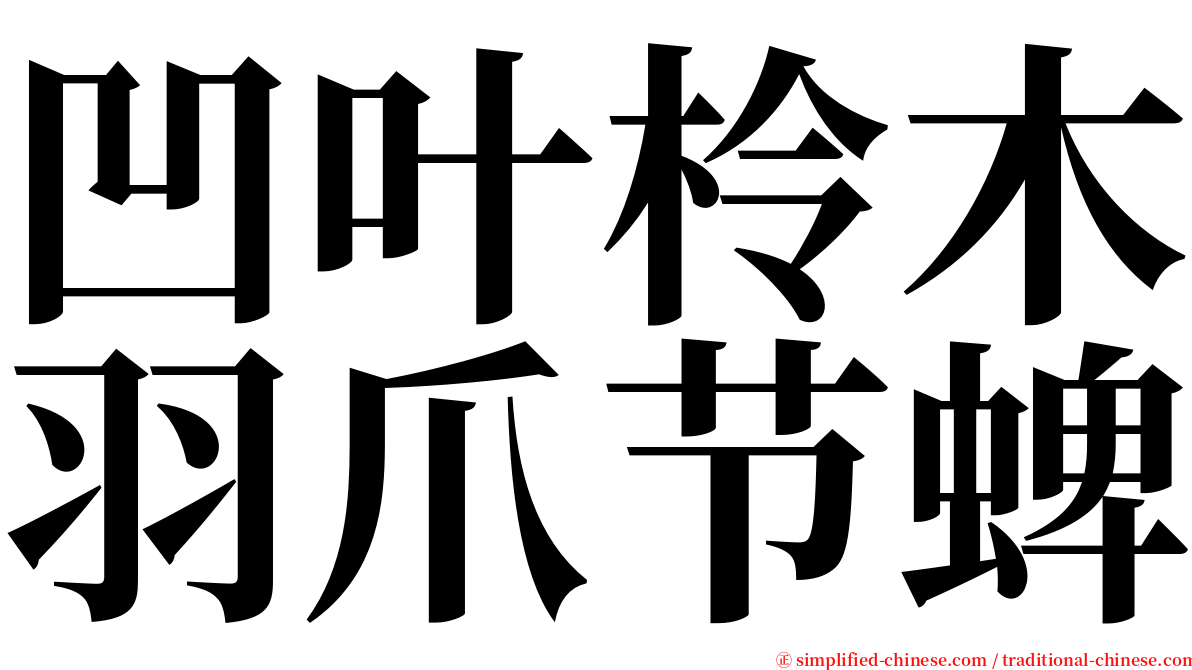 凹叶柃木羽爪节蜱 serif font