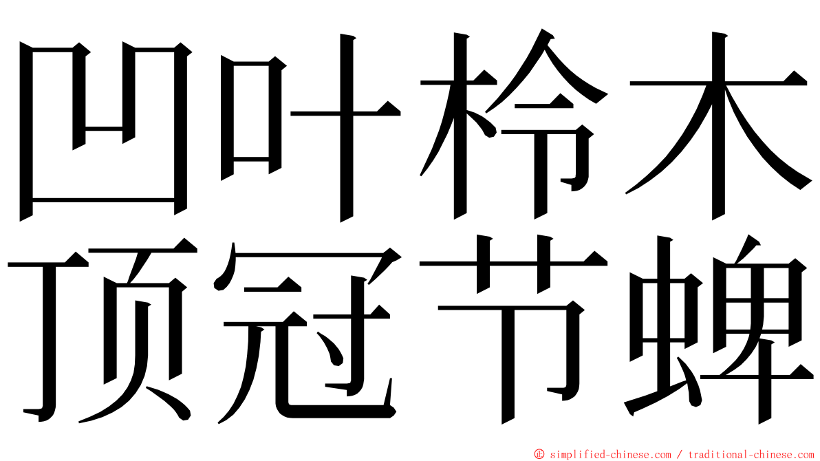 凹叶柃木顶冠节蜱 ming font