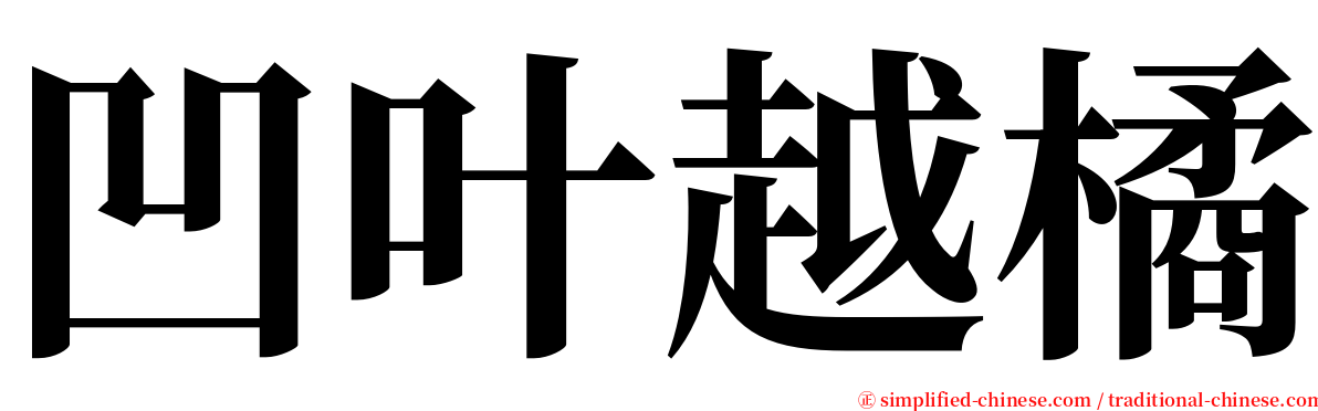 凹叶越橘 serif font