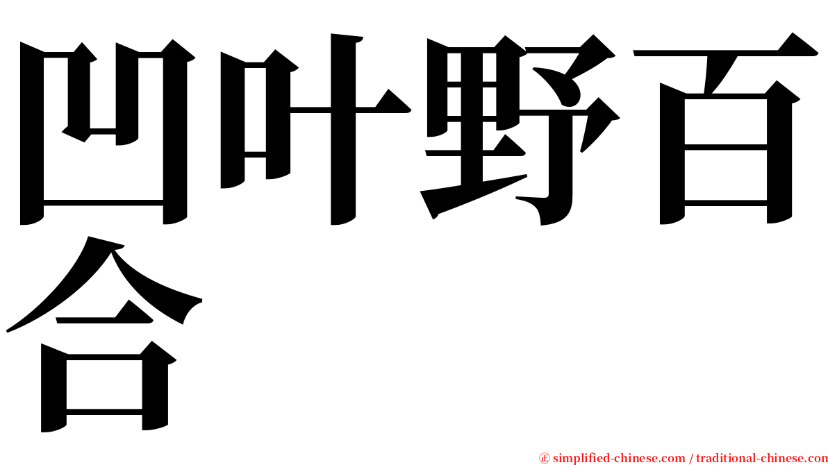 凹叶野百合 serif font