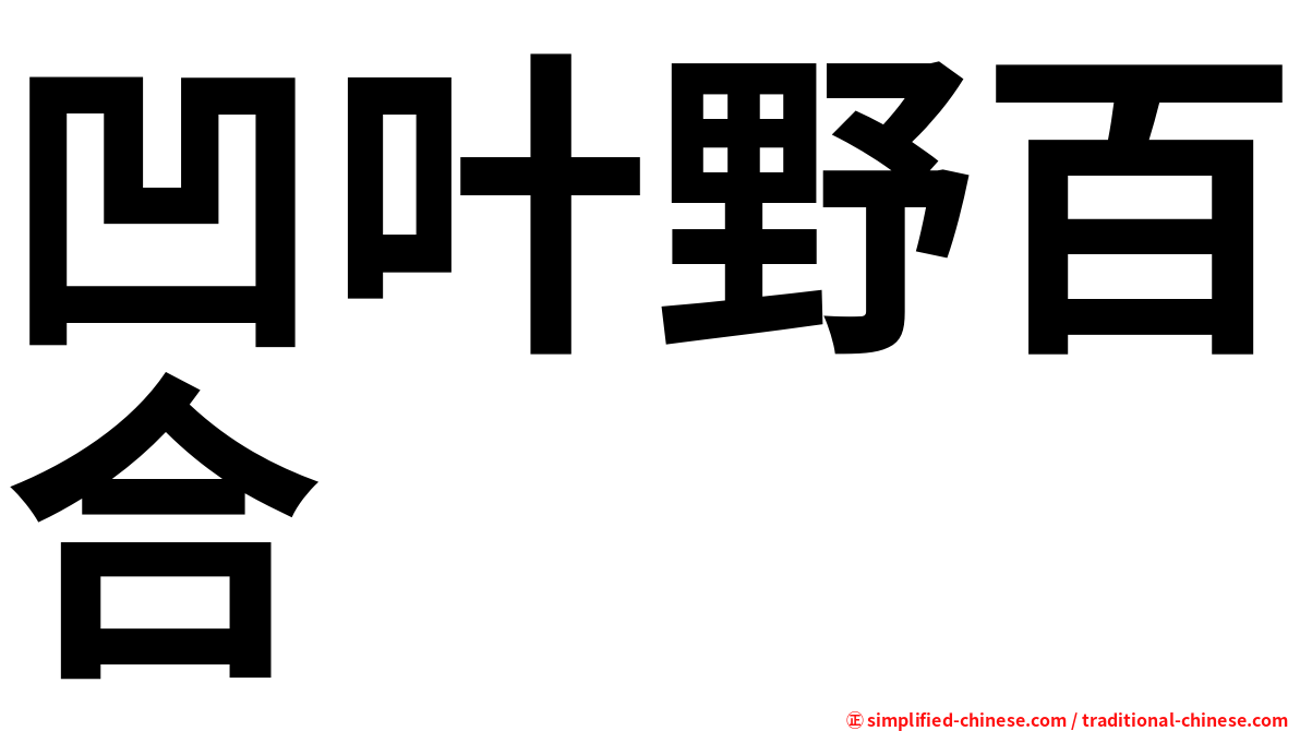 凹叶野百合