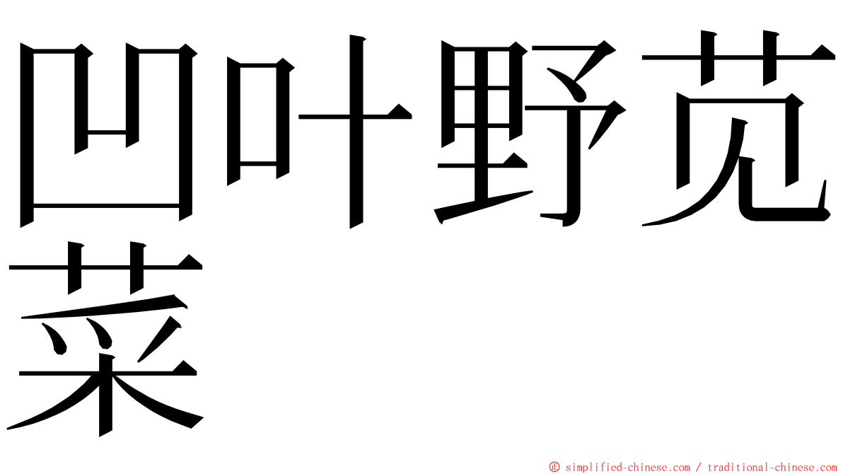 凹叶野苋菜 ming font