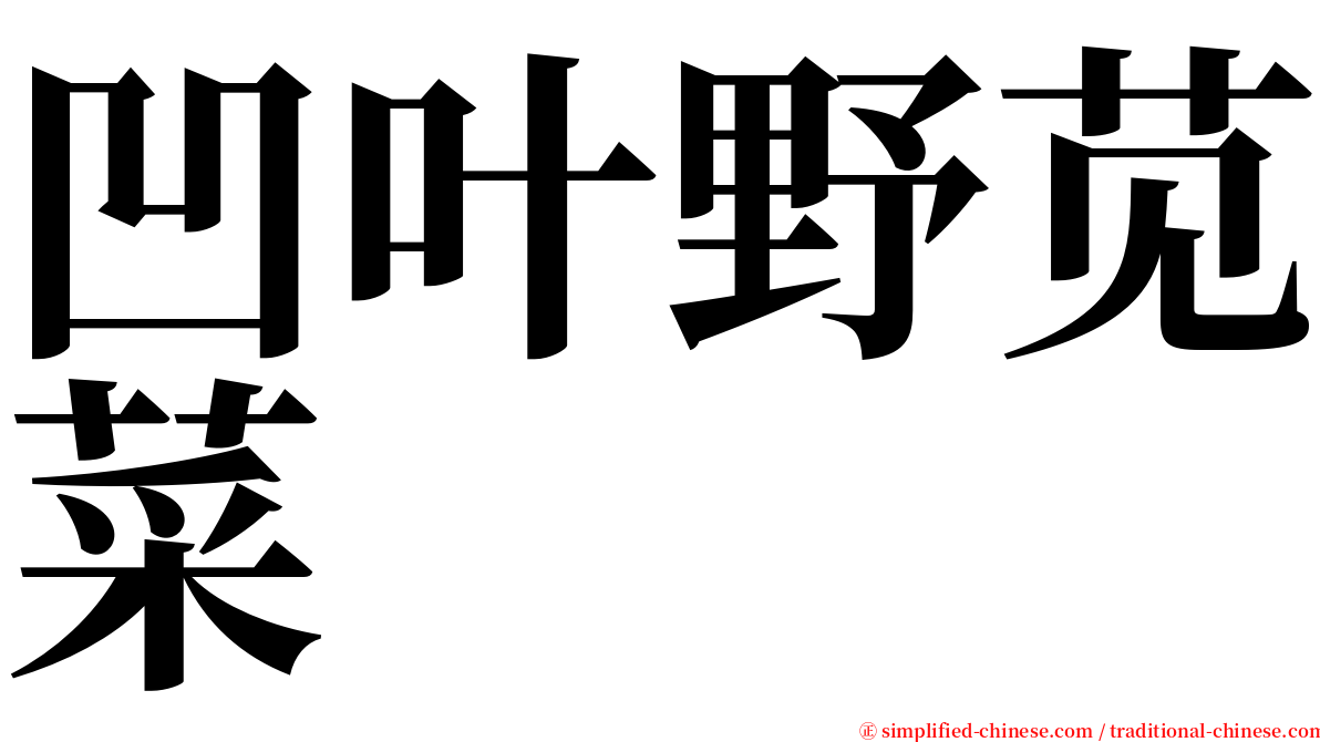 凹叶野苋菜 serif font