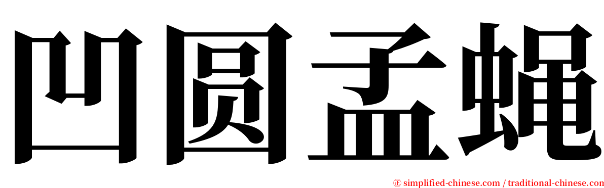 凹圆孟蝇 serif font