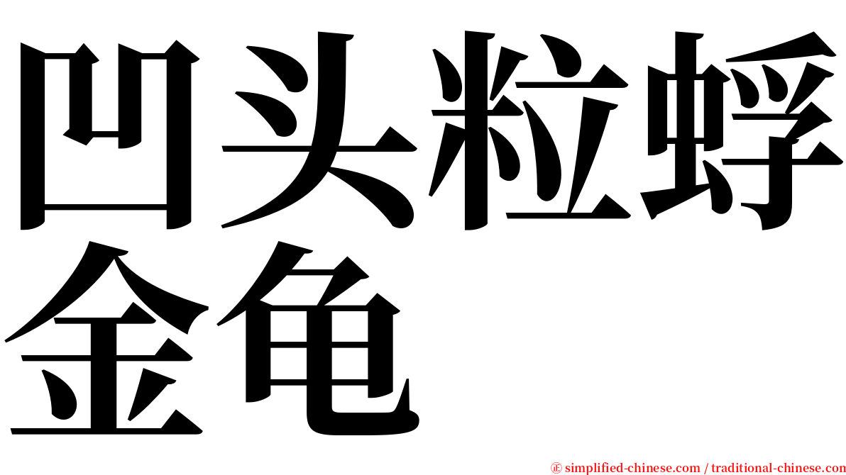 凹头粒蜉金龟 serif font