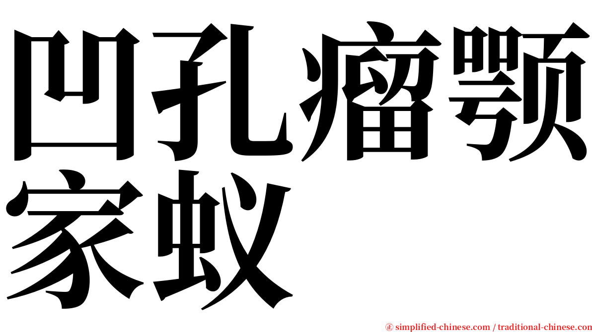 凹孔瘤颚家蚁 serif font