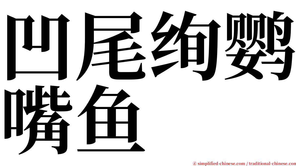 凹尾绚鹦嘴鱼 serif font