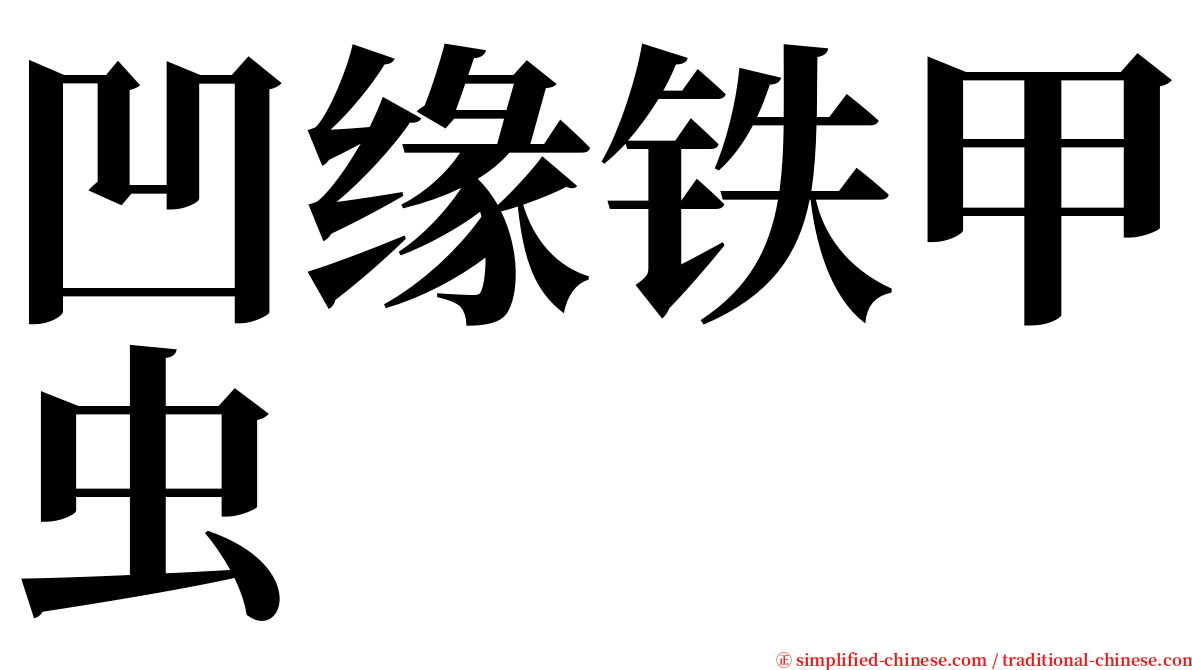 凹缘铁甲虫 serif font