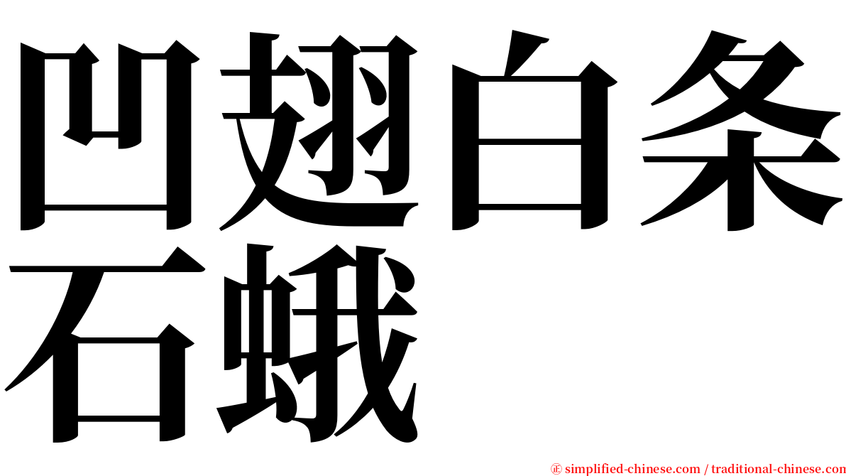 凹翅白条石蛾 serif font