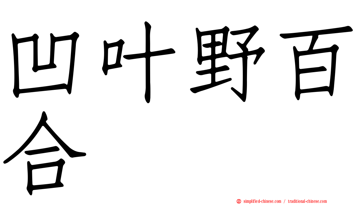 凹叶野百合