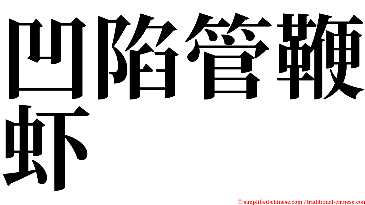 凹陷管鞭虾 serif font