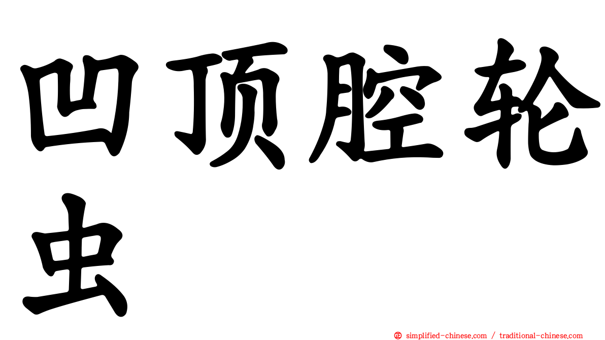 凹顶腔轮虫