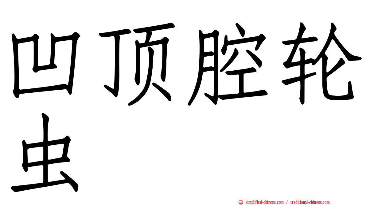 凹顶腔轮虫