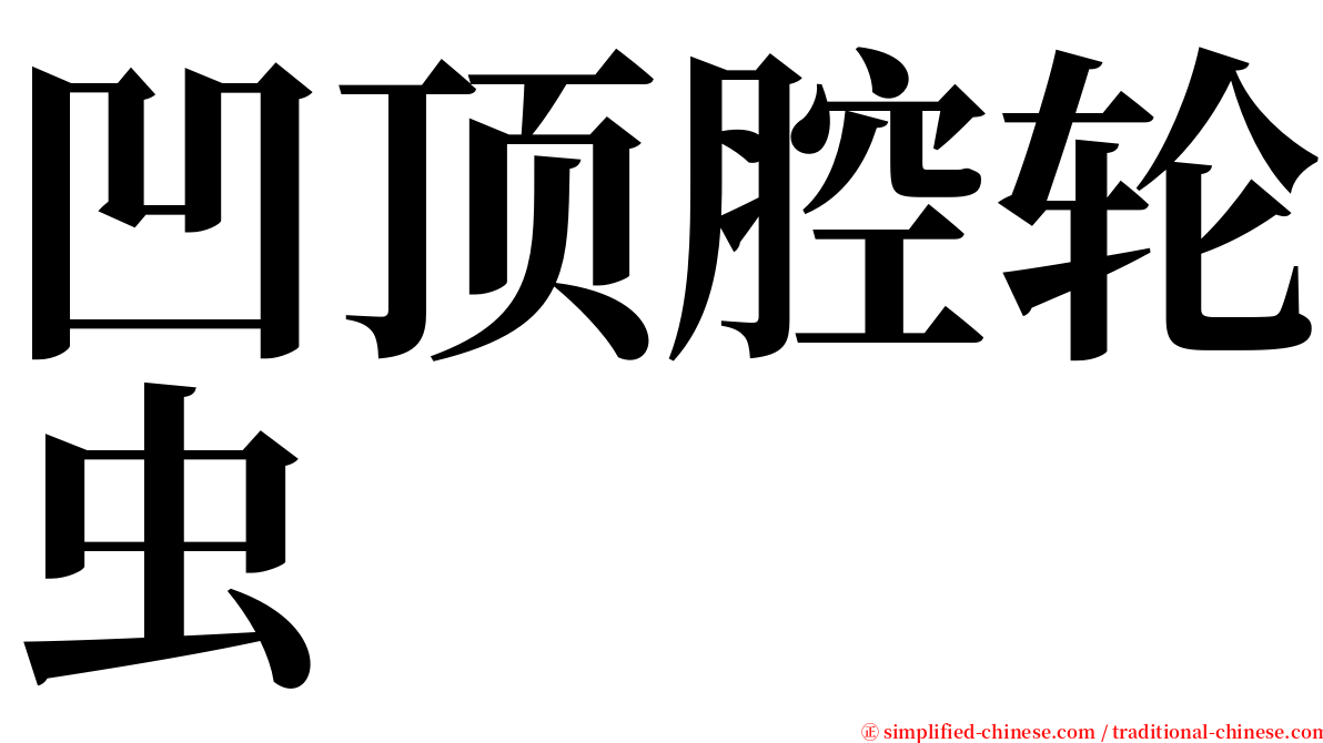 凹顶腔轮虫 serif font
