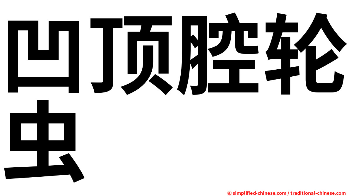 凹顶腔轮虫