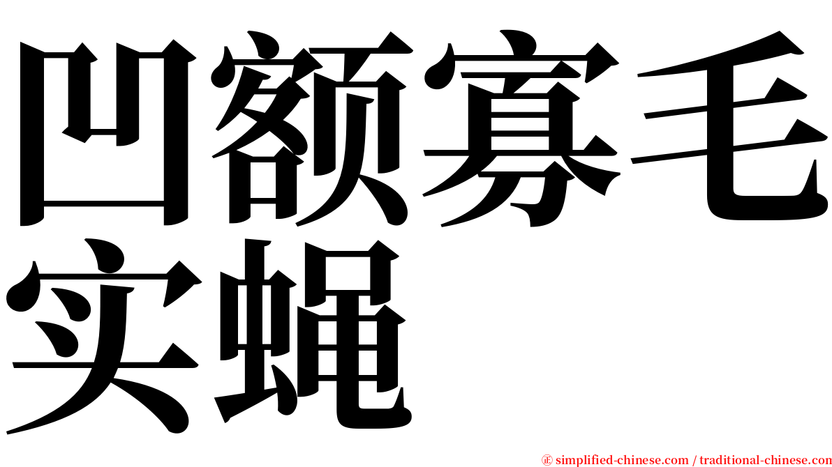 凹额寡毛实蝇 serif font