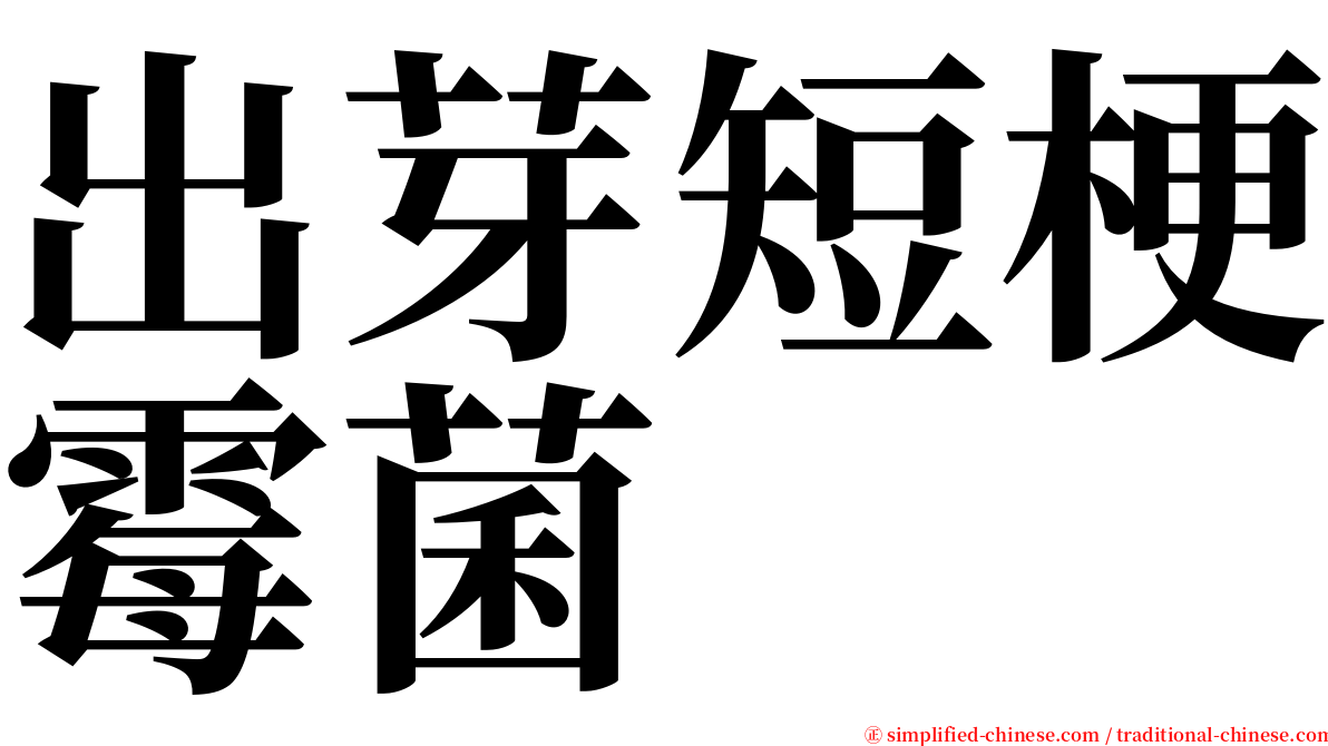 出芽短梗霉菌 serif font