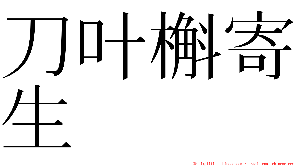 刀叶槲寄生 ming font