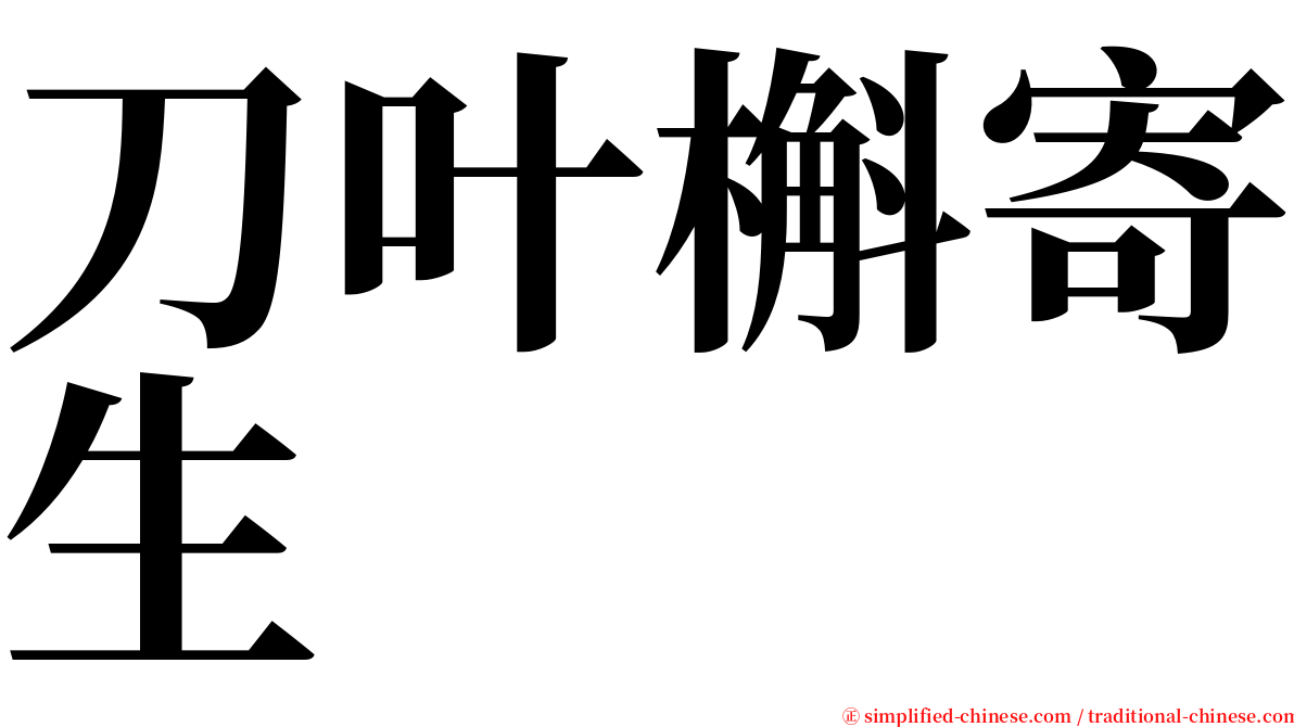 刀叶槲寄生 serif font