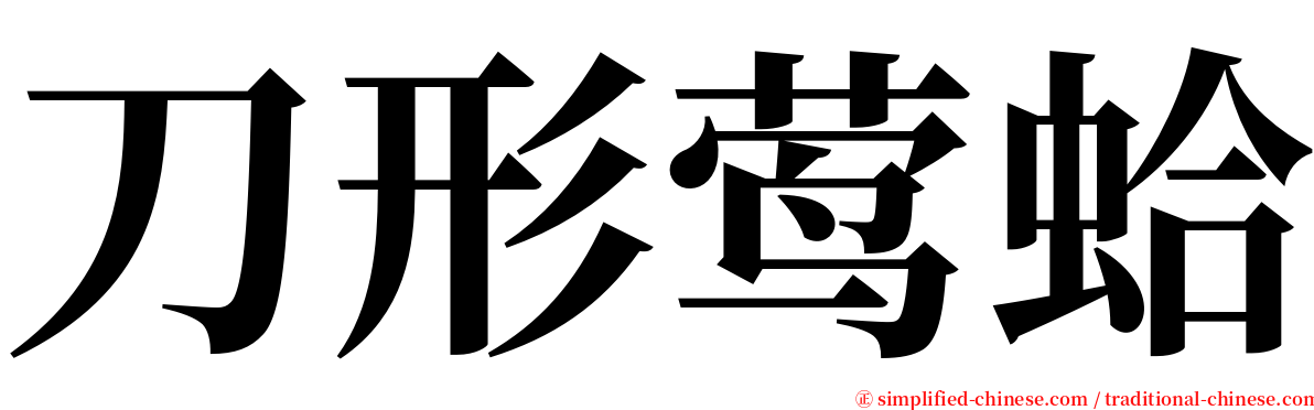 刀形莺蛤 serif font