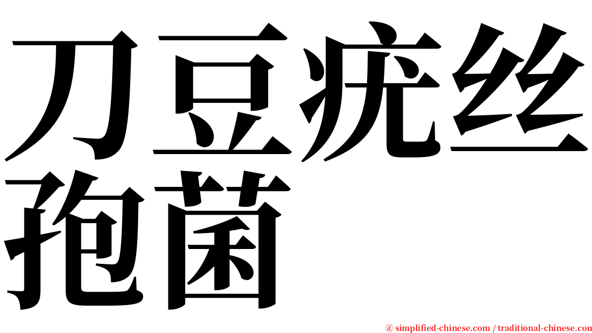 刀豆疣丝孢菌 serif font