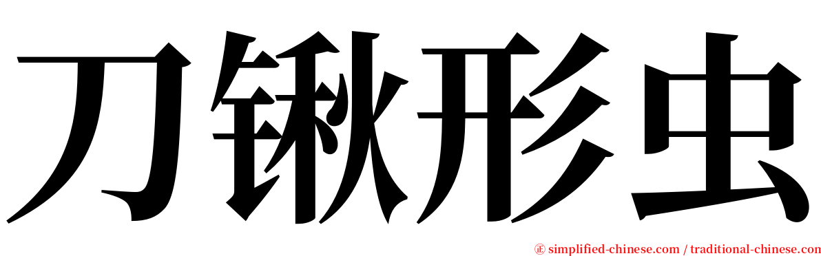 刀锹形虫 serif font