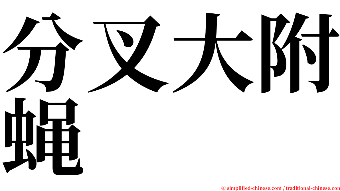 分叉大附蝇 serif font