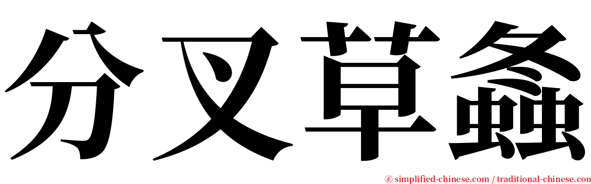 分叉草螽 serif font
